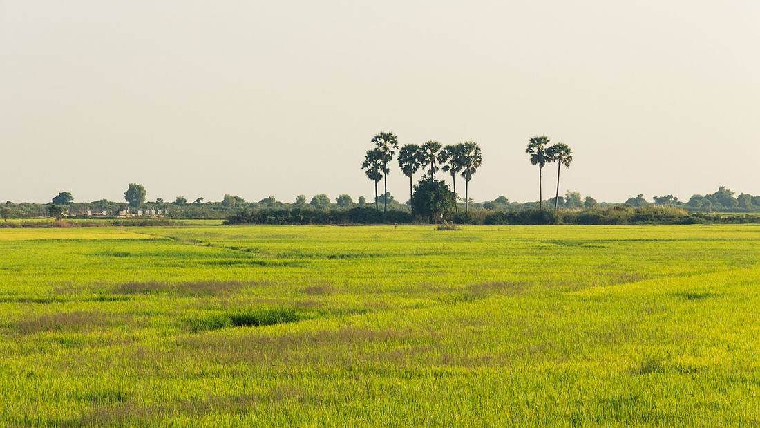 Cambodia: where travellers using a local eSIM actually go