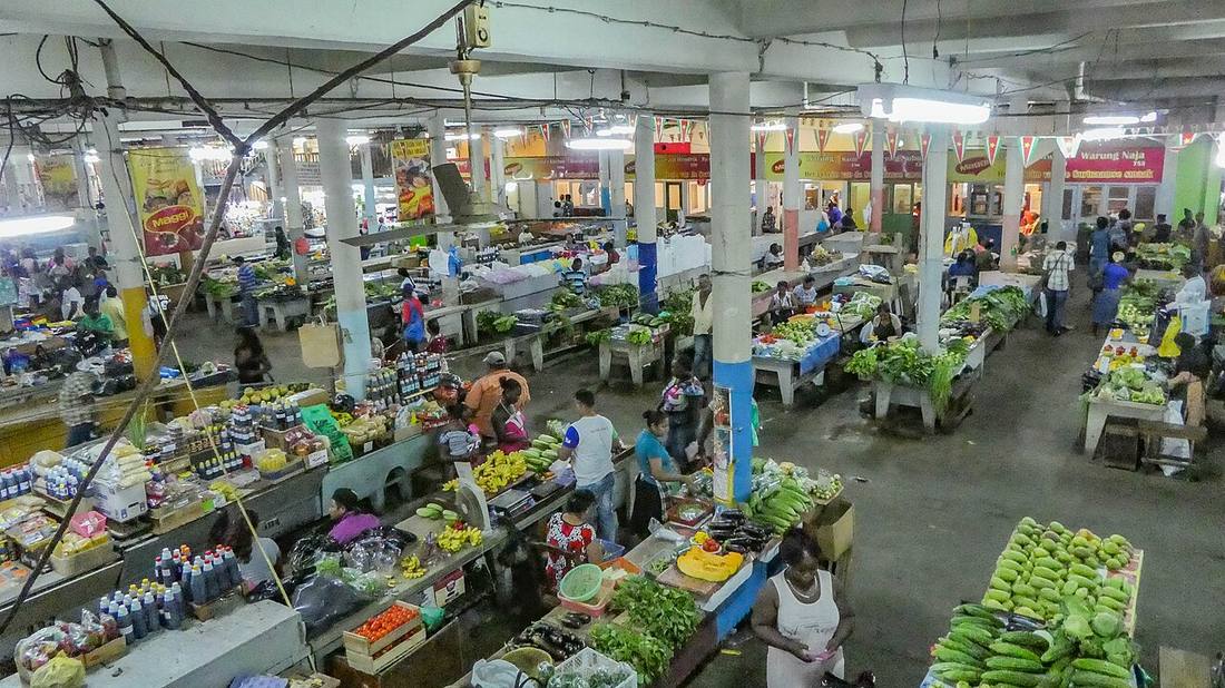 Suriname: where travellers using a local eSIM actually go
