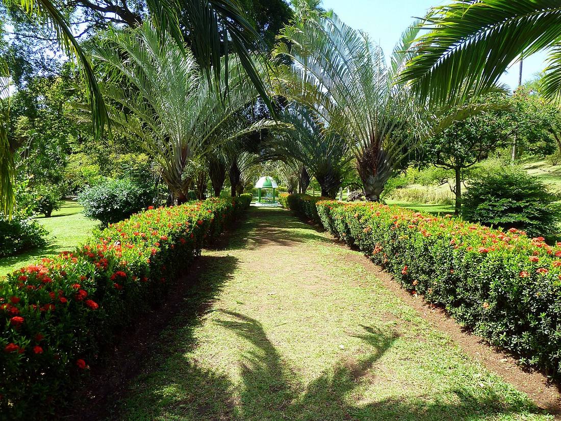 Saint Vincent and the Grenadines: where travellers using a local eSIM actually go